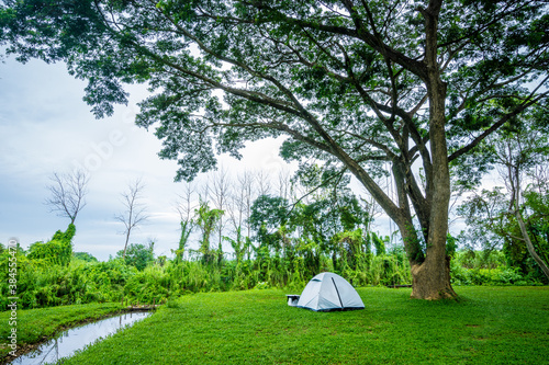 Camping and tent under tree in nature park
