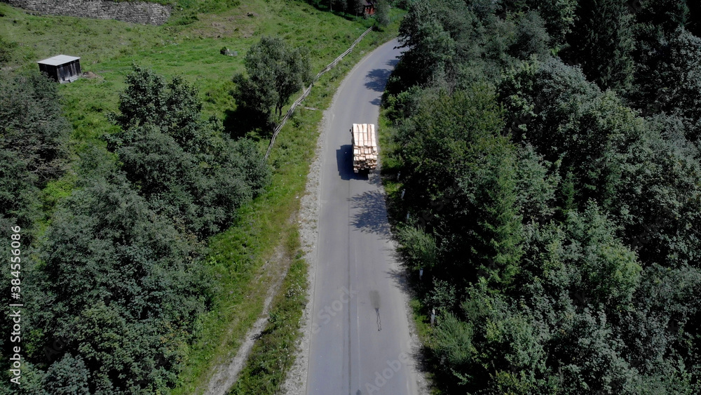 A track with wooden logs is driving on the road. Green forest on both sides of the road.
