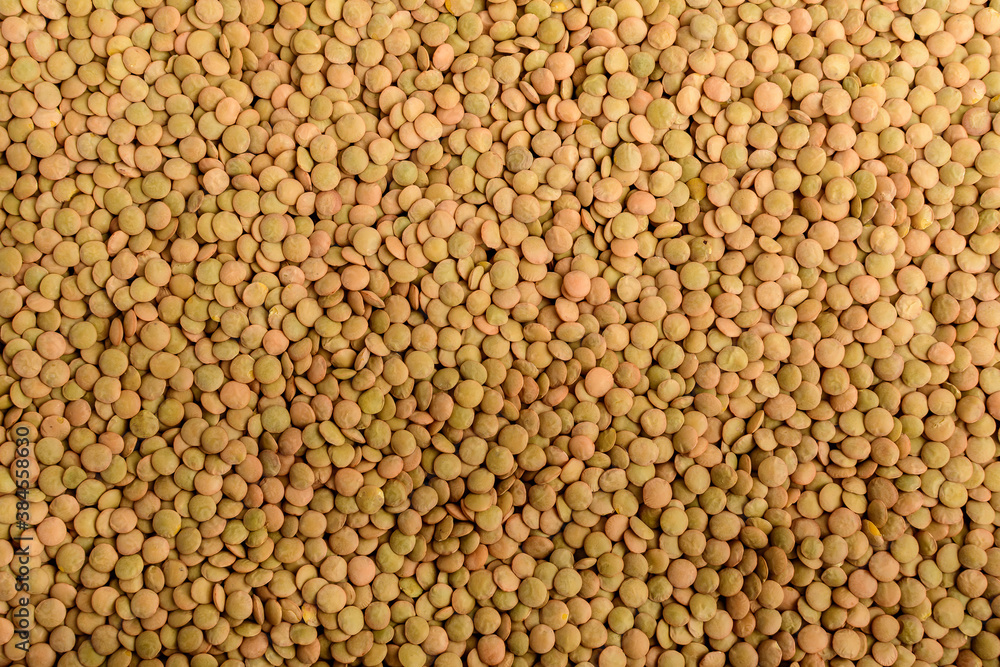 Natural background of many fresh organic green lentils small beans in warm light, top view or flat lay of organic vegan food photographed with soft focus. Natural background of many fresh organic green lentils small beans in warm light, top view or flat lay of organic vegan food photographed with soft focus.