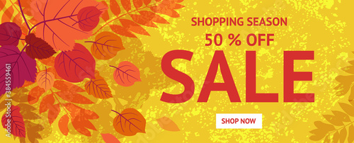 Autumn sale design with falling leaves. Autumn vector illustration with special offer typography elements for coupon, voucher, banner, flyer, ad poster, web.