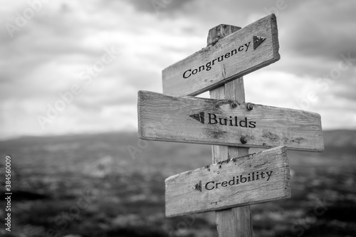 congruency builds credibility text quote on wooden signpost outdoors in black and white. photo