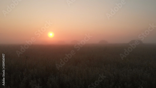 The sun is rising over the pasture. Misty landscape of endless area of open land. Red shining of the sun.