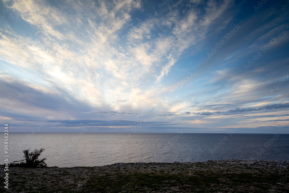 Sunset behind storm clouds over ocean with pine tree in foreground