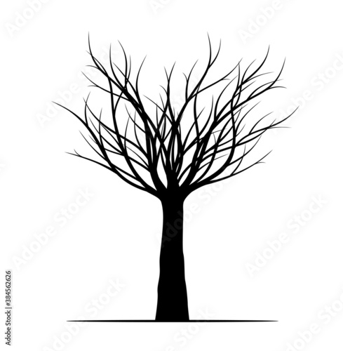 Winter naked Tree. Vector outline Illustration. Plant in Garden. EPS file.