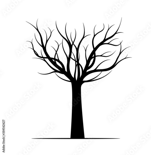 Winter naked Tree. Vector outline Illustration. Plant in Garden. EPS file.