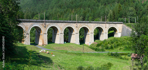 Cattel grazing near the viaduct over the Adlitzgraben on the Semmering Railway. The Semmering Railway is the oldest mountain railway of Europe and a Unesco World Heritage site. photo