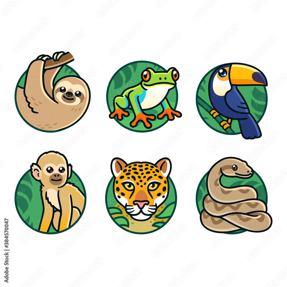 Fototapeta premium Cartoon rainforest animals set