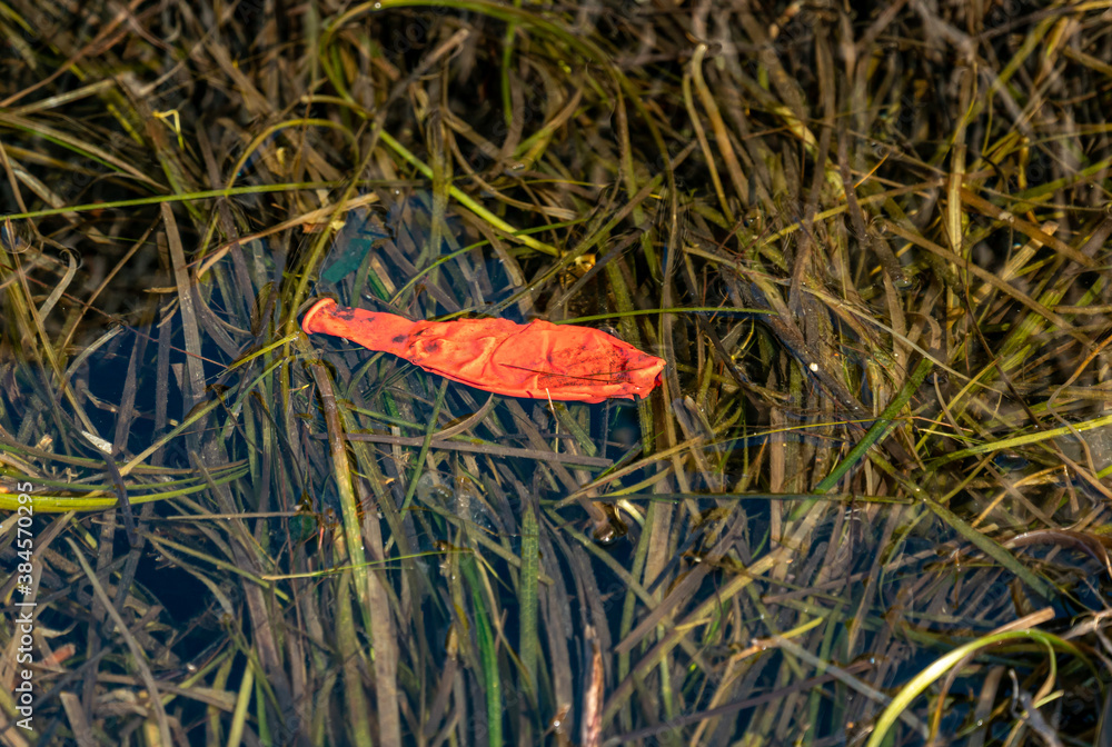 Old orange balloon floating among seaweed in the sea, causing ecological problems. Close up Old orange balloon floating among seaweed in the sea, causing ecological problems. Close up