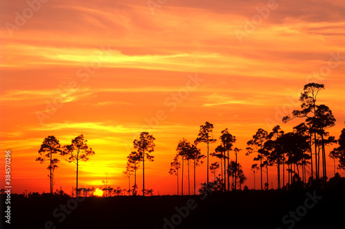 Sunset in Everglades National Park Florida