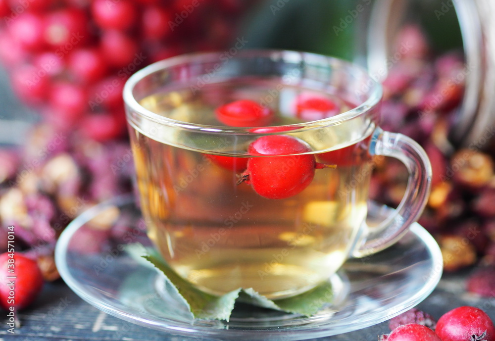 The season for picking berries and herbs for the future. A cup of tea with hawthorn will help to cope with many ailments, diseases and flu. The season for picking berries and herbs for the future. A cup of tea with hawthorn will help to cope with many ailments, diseases and flu.
