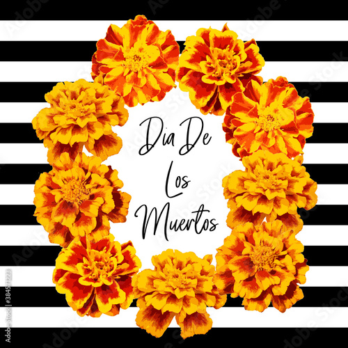 Marigold flower garland. Day of the dead. Halloween. Mexican garland of flowers. Religion festive holiday decoration. Vector illustration isolated on black background. Mexican Day of the dead frame