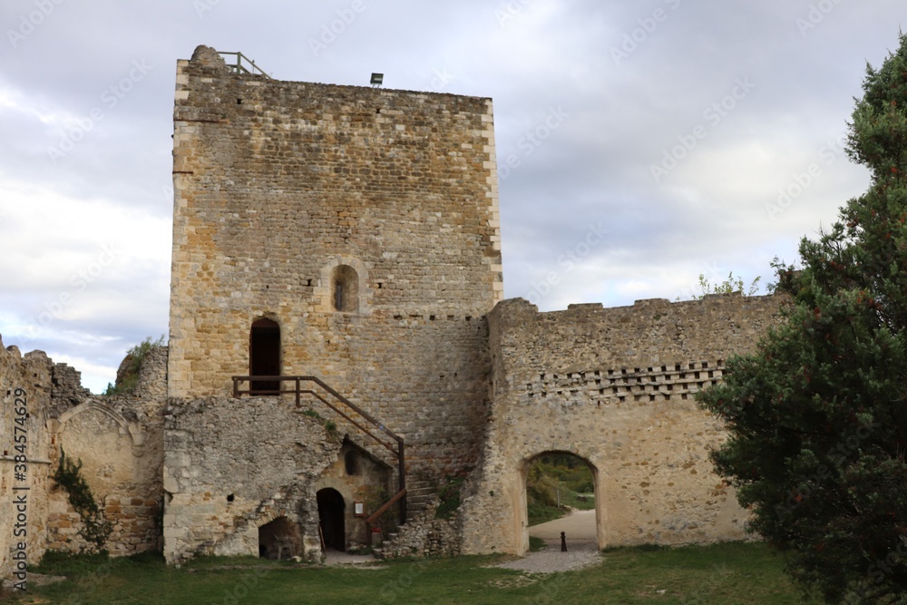 Les vestiges du château médiéval de Rochefort en Valdaine, ville de Rochefort en Valdaine, département de la Drôme, France