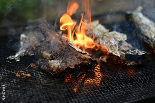 Baked fish in foil on a grill over a fire, picnic cooking. Fire and heat from wood in the grill in nature.