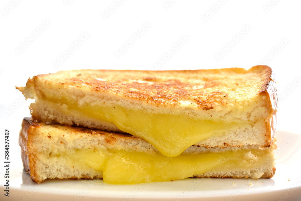 Cheese sandwich on a white plate.  Copy space is above of the sandwich. 