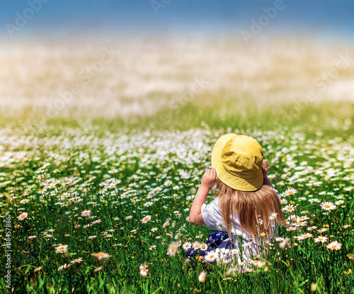 Slika na platnu Little blond child girl in chamomile field  in sunny day