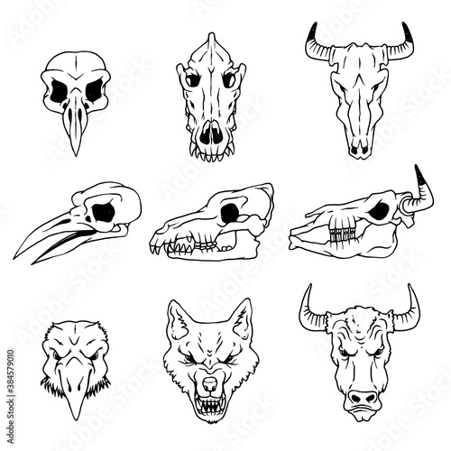 Vector skulls and heads of raven, wolf and buffalo isolated illustrations.