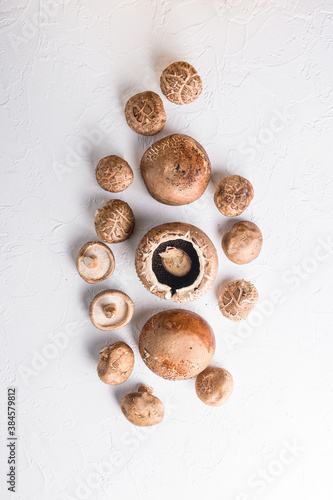 Shiitake and portobello mushrooms set on white concrete background. Top view