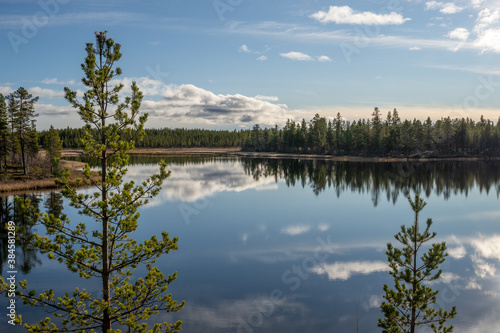 Wald Natur See in Schweden mit Spiegelung im Wasser