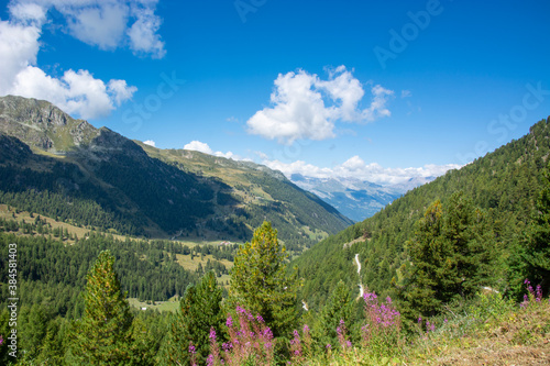 Landschaft bei Siviez / 4 - Vallées / Wallis / Schweiz photo