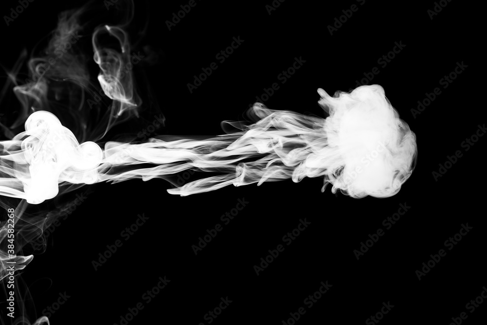 Fototapeta premium Clouds of white smoke on a black background, movement of smoke, smoke in the shape of a jellyfish