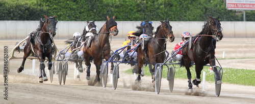 some pics taken during an horse race in Italy photo