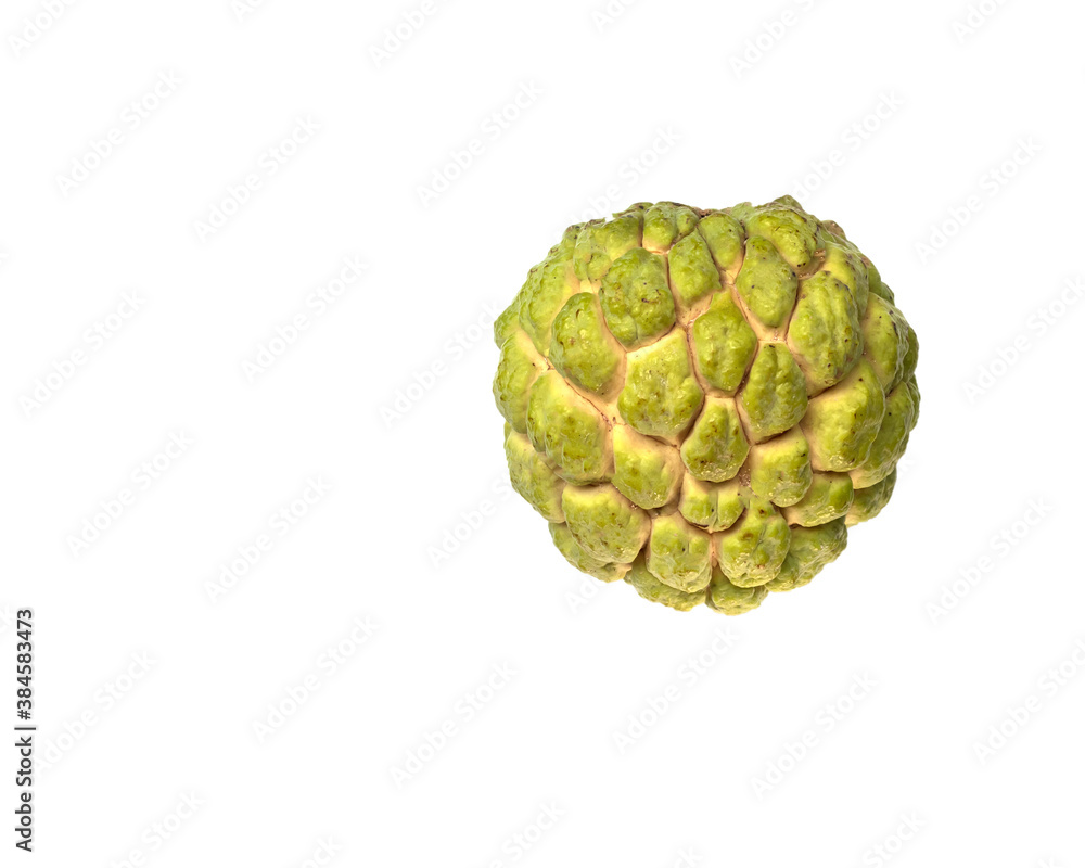 Sugar Apple (custard apple, Annona, sweetsop) on white background Sugar Apple (custard apple, Annona, sweetsop) on white background