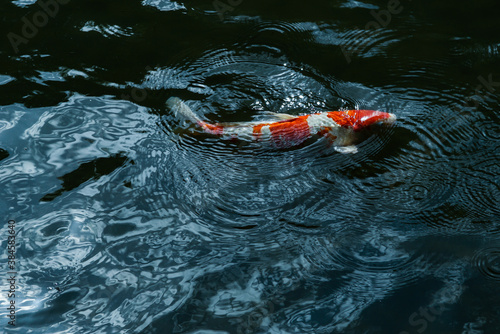 鈴木大拙館 photo