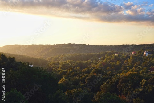 Panoramic view of the forest from the top