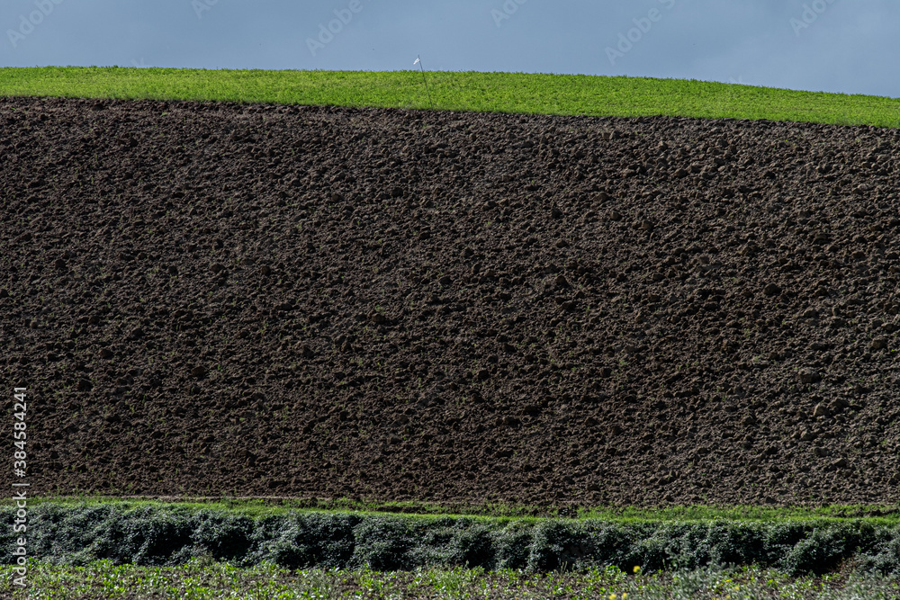 custom made wallpaper toronto digitalcolline in val d'orcia toscana