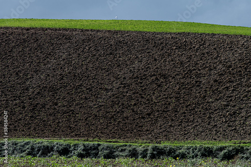 Wallpaper Mural colline in val d'orcia toscana Torontodigital.ca