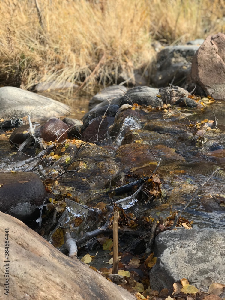 Obraz premium stream in the forest