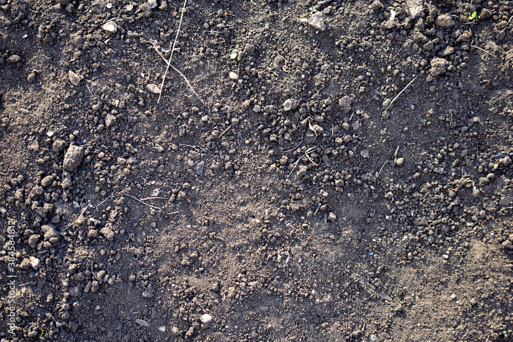 View of black fertile soil soil close up during the day View of black fertile soil soil close up during the day