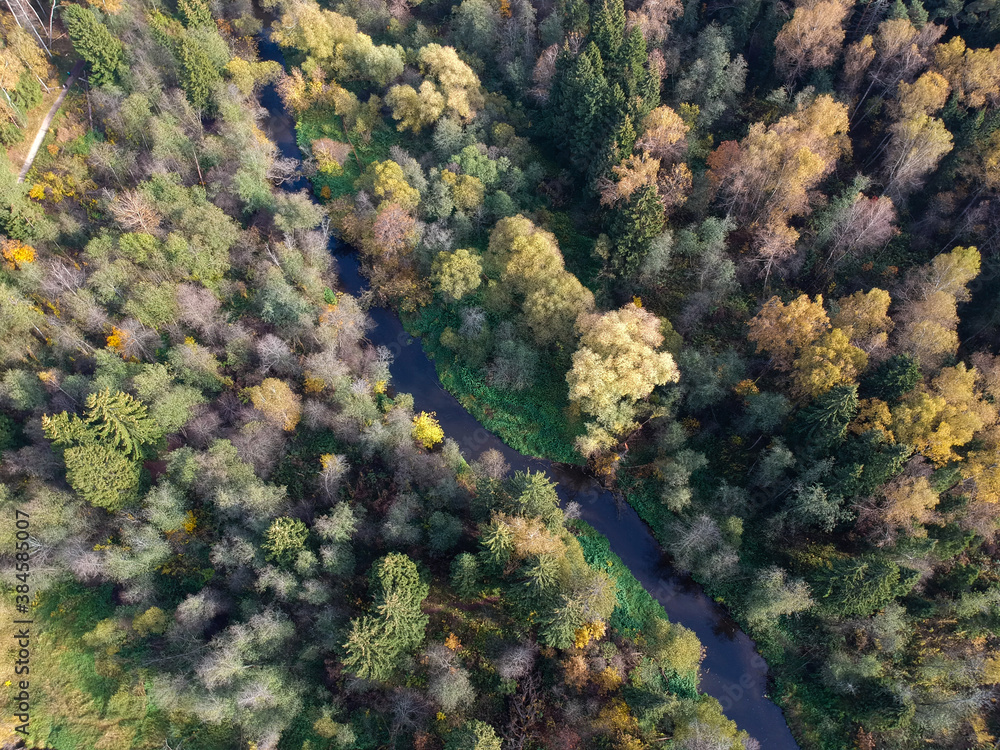 Aerial drone view of autumn forest and small river Aerial drone view of autumn forest and small river