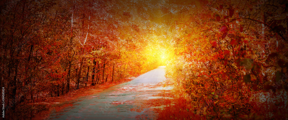 Panorama of an autumn park with path with bright sun in front