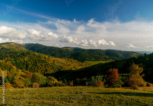 Beautiful deciduous and pine forest at autumn in the Carpathian mountains, blue sky with white clouds in the background.
