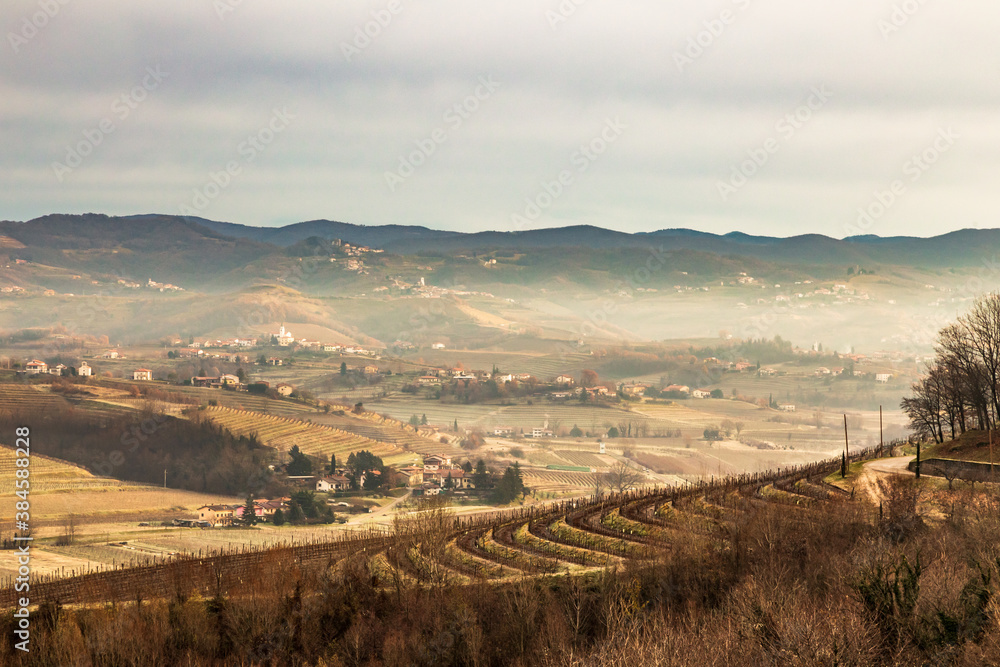 Cold misty morning in the vineyards of Italy