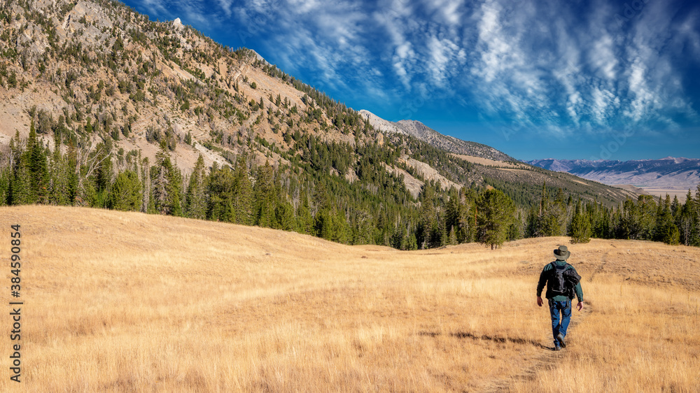 Man with a backpack hike through a high mountain meadow