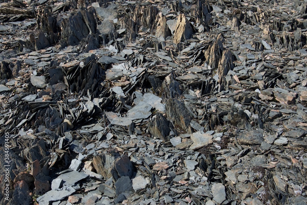 blocs d'ardoises et de pierres friables grises jonchées sur un sol de montagne
