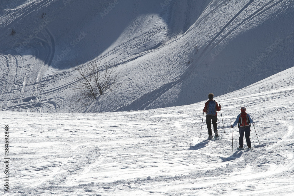 Trekking with snowshoes