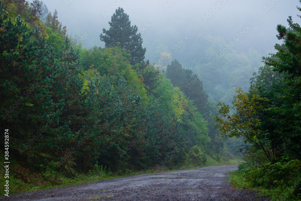 Foggy nature landscape with trees , Armenia Foggy nature landscape with trees , Armenia