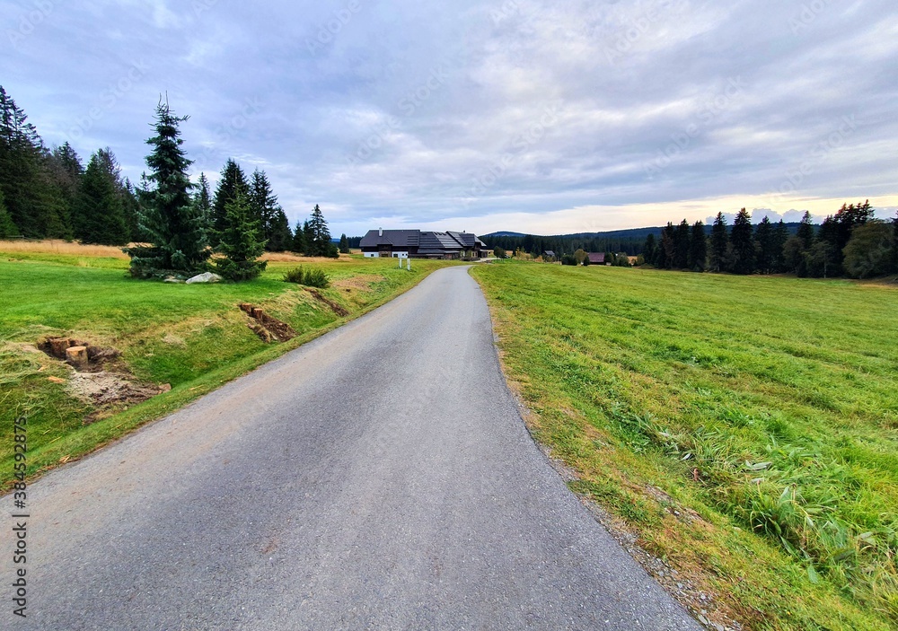 Country road in Sumava National Park.