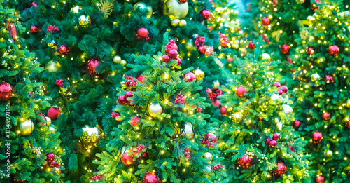 New year holiday or christmas green panoramic background. Christmas trees decorated with  red and golden decorations and lights, garlands and toys. New Year and seasons greeting concept. Illumination