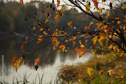 Sunny autumn day in the city park. © Олег Раков