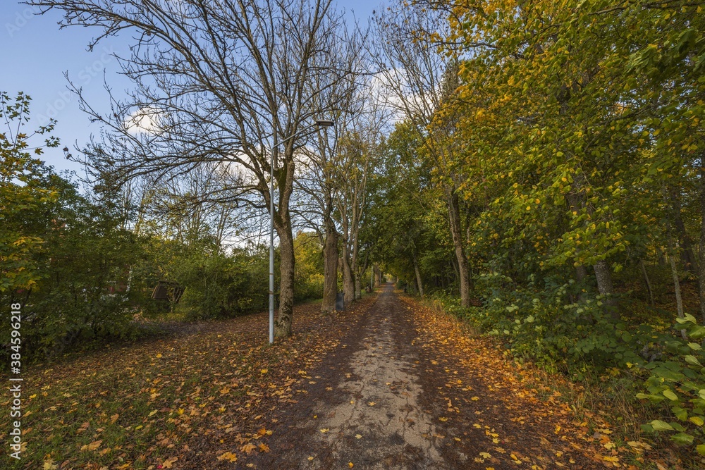 Amazing beauty on road in autumn forest on blue sky with white clouds. Beautiful autumn nature backgrounds. Amazing beauty on road in autumn forest on blue sky with white clouds. Beautiful autumn nature backgrounds.