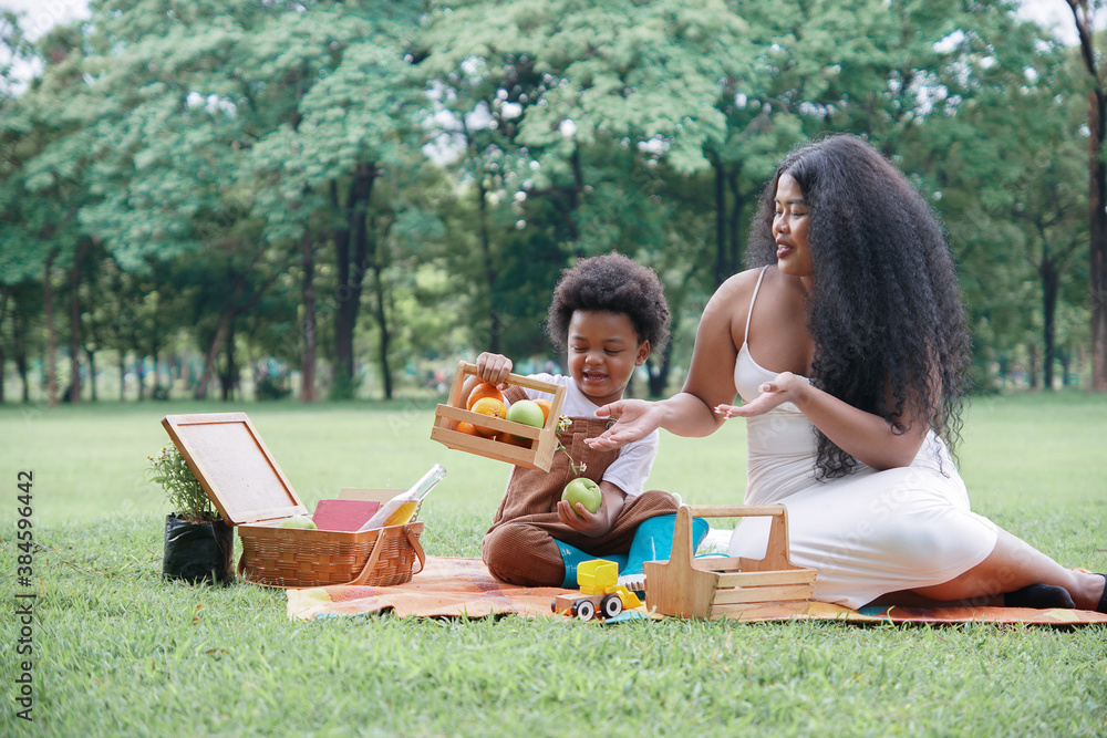 Happy African family Mother and son picnic together at garden green park on weekend Happy African family Mother and son picnic together at garden green park on weekend