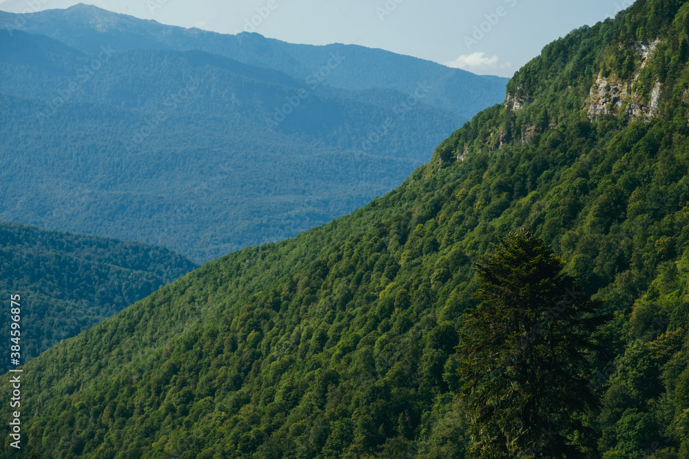 Fototapeta premium beautiful natural landscape with Caucasus Mountains and trees