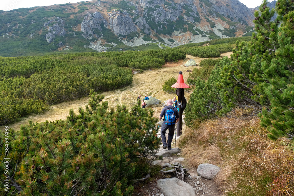 Hikers on trail at Great Cold Valley,  Vysoke Tatry (High Tatras), Slovakia. The Great Cold Valley is 7 km long valley, very attractive for tourists