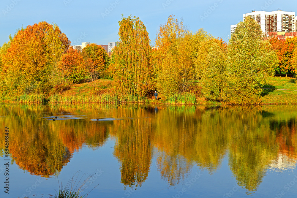 Autumn landscape. Penyaginsky Lake in Mitino picturesque Landscape Park. Moscow, Russia