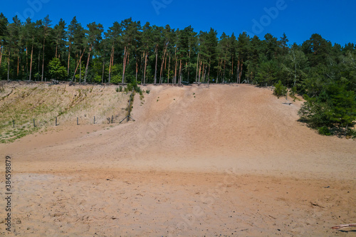 Sand dunes in the forest, a nature reserve and urban wildlife habitat. 