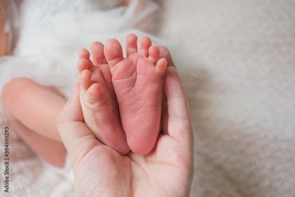 Newborn Baby Feet in Mother Hands, Mom massaging New Born Kid Foot, Health Care Newborn Baby Feet in Mother Hands, Mom massaging New Born Kid Foot, Health Care